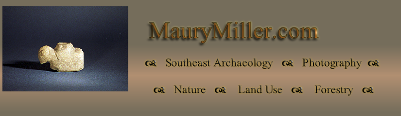    Southeast Archaeology      Photography    

    Nature       Land Use       Forestry   